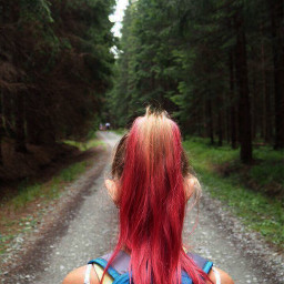 trip pinkhair traveling forest mountains